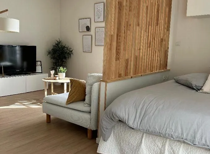 Апартаменты Hyper Centre De Кастр